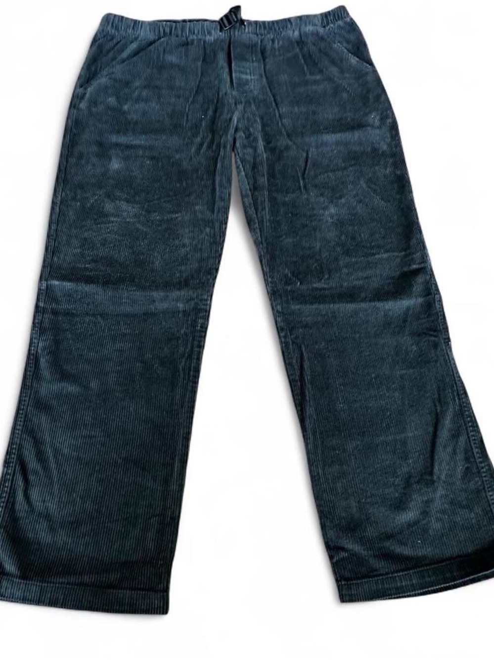 Original Use Men's Teal Corduroy Pants - Relaxed Straight Leg